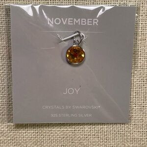 Origami Owl Core November Joy Pendant Charm in Silver